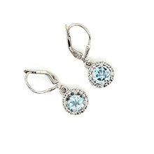 Load image into Gallery viewer, Pop Accent Earrings in Blue Topaz
