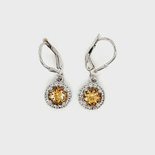 Load and play video in Gallery viewer, Pop Accent Earrings in Citrine

